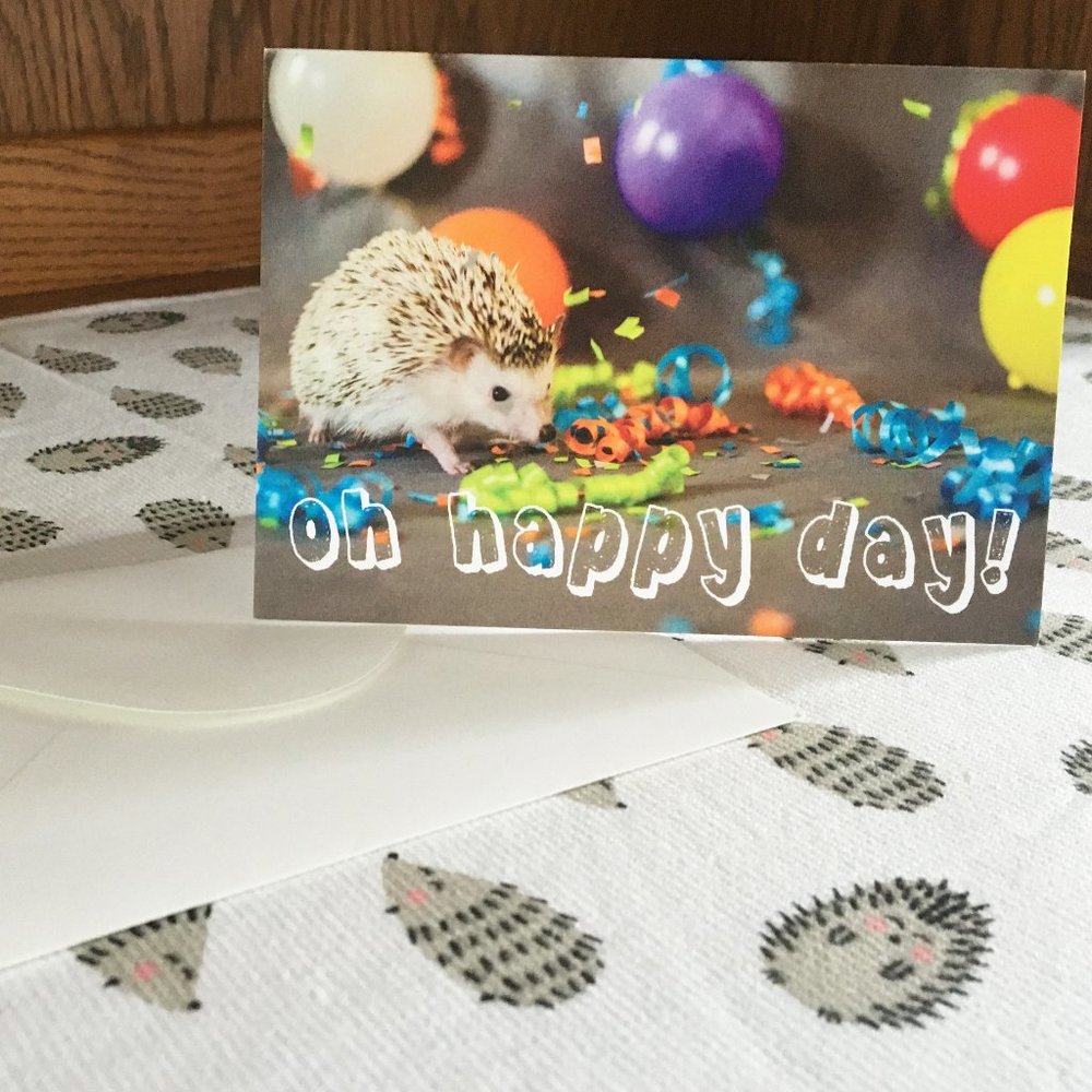 Hedgehog card : graduation / birthday / celebration